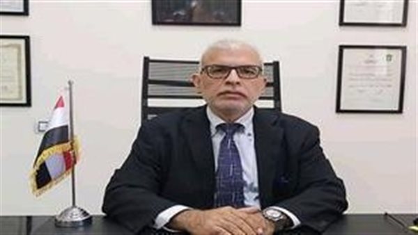 نائب اتلرئيس التنفيذي