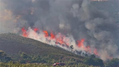 دراسة أمريكية: الثلاجات سبب ارتفاع درجات الحرارة وكوارث الحرائق 