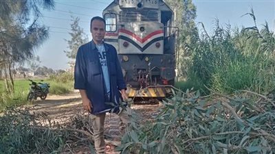 قائد قطار يوقف رحلته قبل الاصطدام بشجرة سقطت على القضبان في الزقازيق