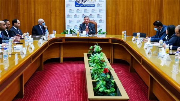 لقاء وزير قطاع الأعمال