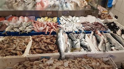 ضبط 9.5 طن أسماك فاسدة ومصنع للمياه المعدنية غير مرخص بالقليوبية 