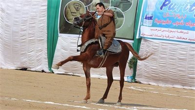 انطلاق فعاليات مهرجان الشرقية للخيول العربية 30 سبتمبر