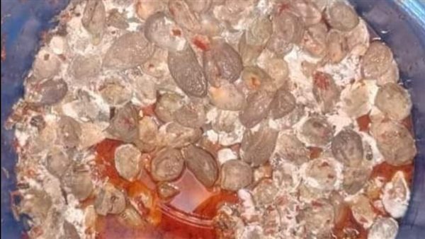 ضبط باذنجان مخلل