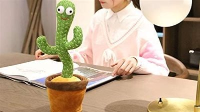 أحبها الكبار والصغار.. ما سبب شهرة الصبارة الراقصة؟