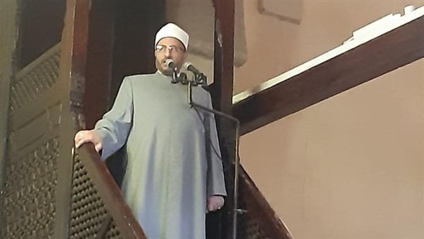 الدكتور محمود الهواري