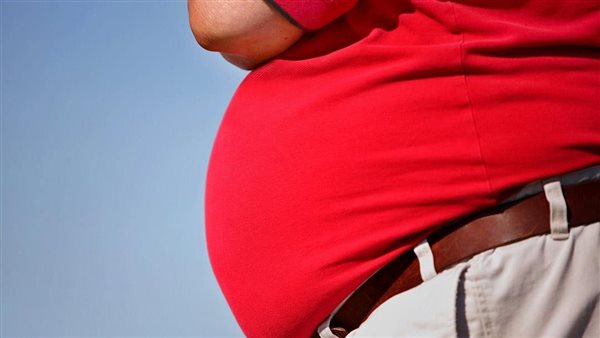 الدهون في منطقة البطن