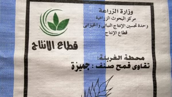 تقاوي القمح