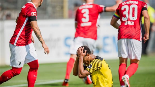  الدوري الألماني