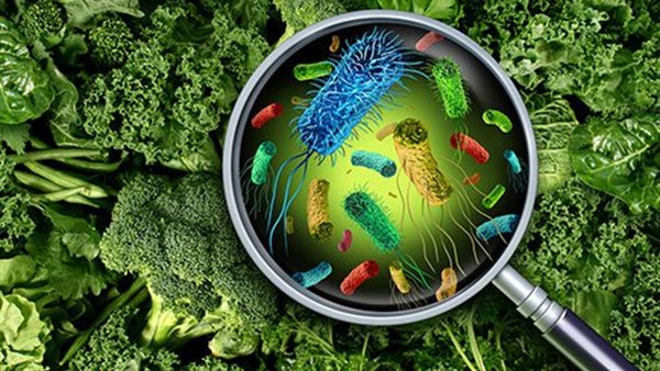 التسمم الغذائي