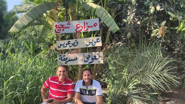 اقطف مانجتك بايدك