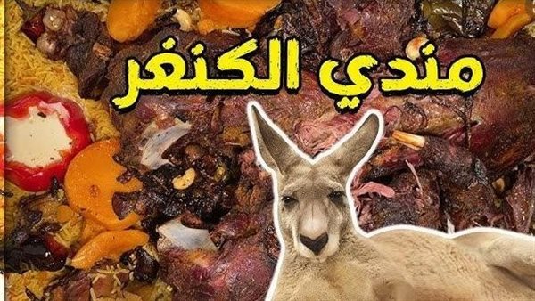 كنغر-صورة أرشيفية