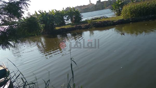 ارتفاع منسوب النيل