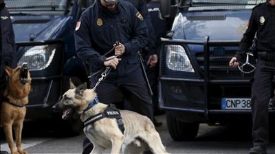 آمنة نصير توضح حكم الدين في تقديم المخدرات لـ الكلاب البوليسية