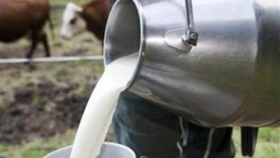 أخطرها استخدام مواد مسرطنة.. طبيب بيطري يكشف طرق غش منتجات الألبان