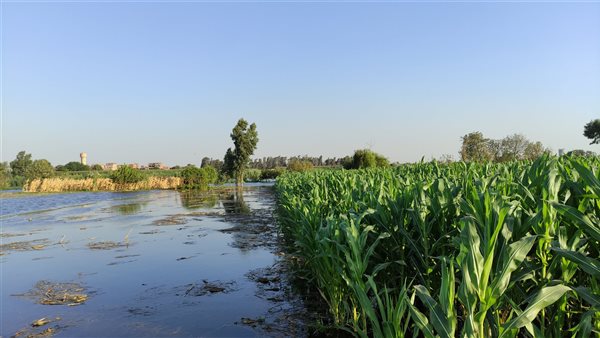 غرق أراضي طرح النهر