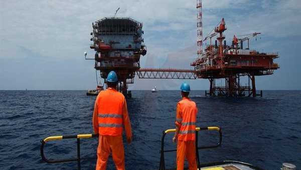 قطاع البترول 