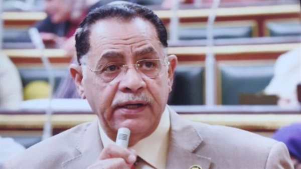  النائب أحمد حجازي