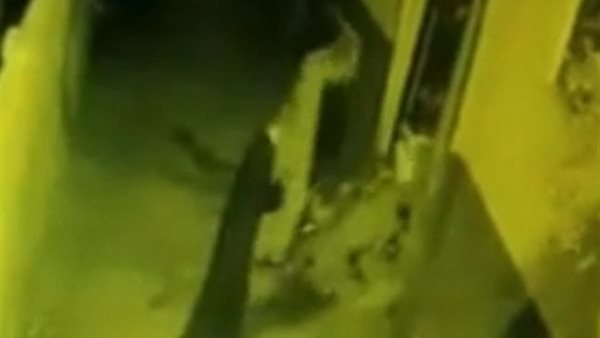 جانب الفيديو