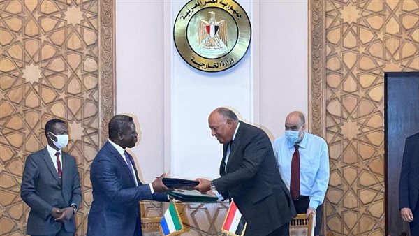 وزير الخارجية ونظيره