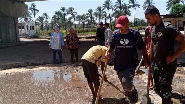 تجميل شوارع الإسماعيلية