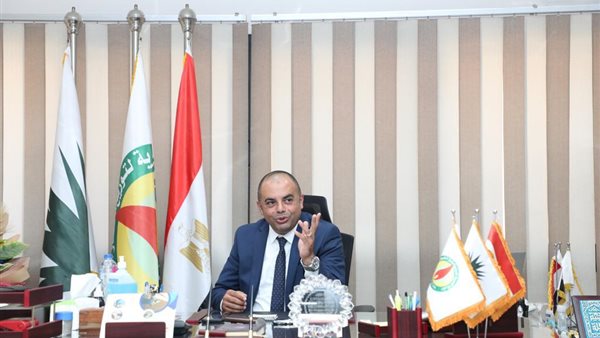 المهندس محمد فتحي