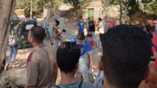 العثور على قرد صغير