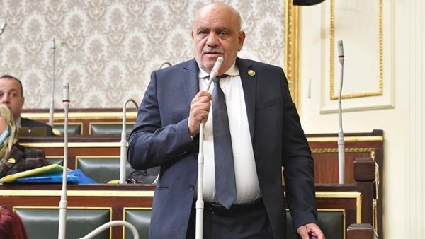  سيد حنفي طه عضو