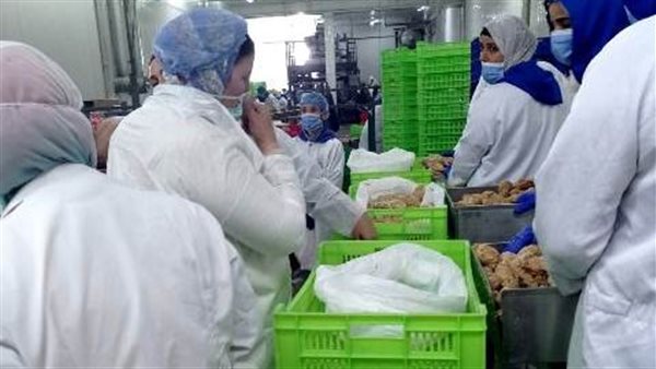 حملات تفتيشية على