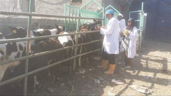 الطب البيطري وتطعيم