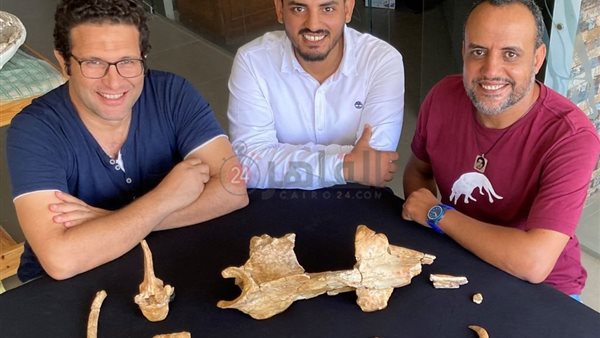 الفريق البحثي 