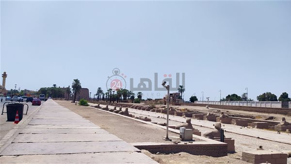 طريق الكباش