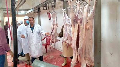 الزراعة: اعتماد مجزر آلي النوبارية التابع لصندوق التأمين على الماشية للذبح بغرض التصدير