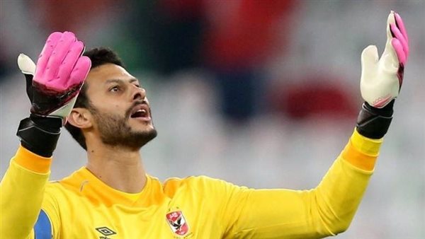 محمد الشناوي 