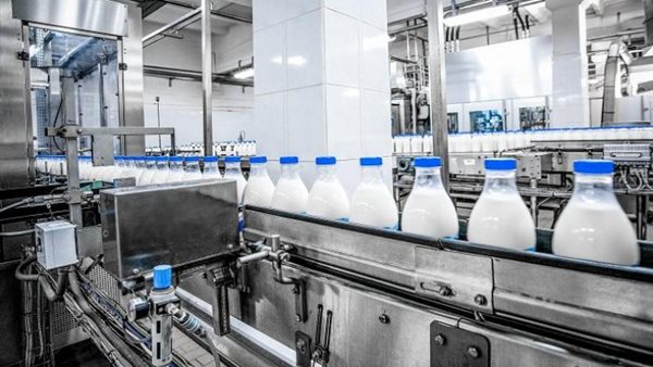 مصانع اللبن 
