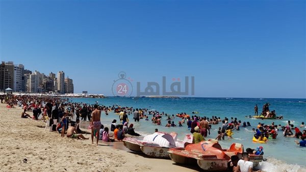 شواطئ الإسكندرية