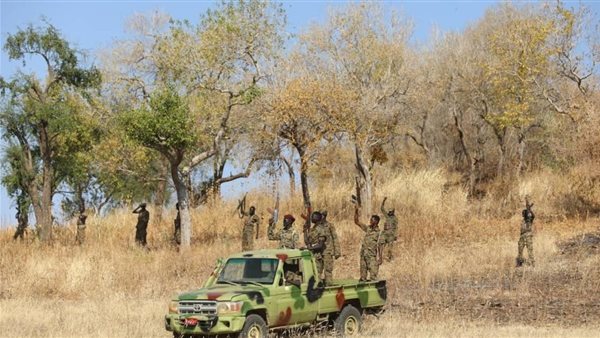 الحدود السودانية