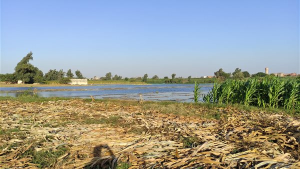 أراضي طرح النهر 