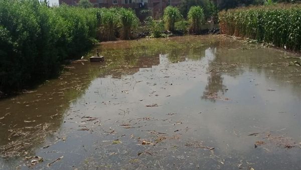 غرق الأراضي الزراعية