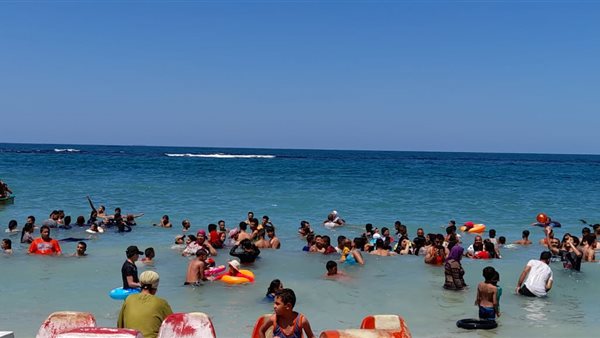 شواطئ الإسكندرية