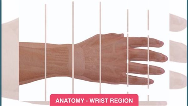 ورشة بنك المعرفة