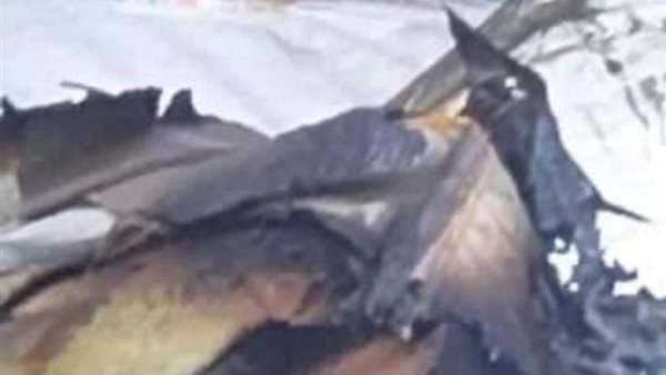 حريق محل مراتب بالإسكندرية