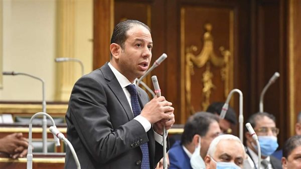 النائب حسن عمار 