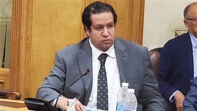 عضو شعبة المستوردين: حضور السيسي قمة بغداد يؤكد دعم مصر للعراق في استعادة مكانه التاريخي