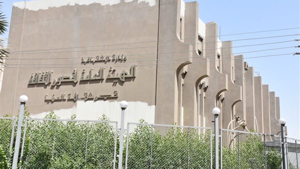 قصر ثقافة المنيا