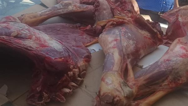 ضبط سلخانة لذبحها