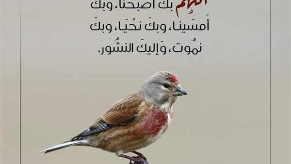 أذكار الصباح والمساء