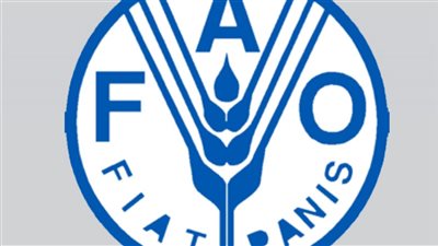 فاو: أكثر من 6% من الأطفال دون الخامسة مصابون بالهزال.. والركود ساهم في تفاقم الفقر والجوع 