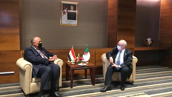 وزير الخارجية ونظيره