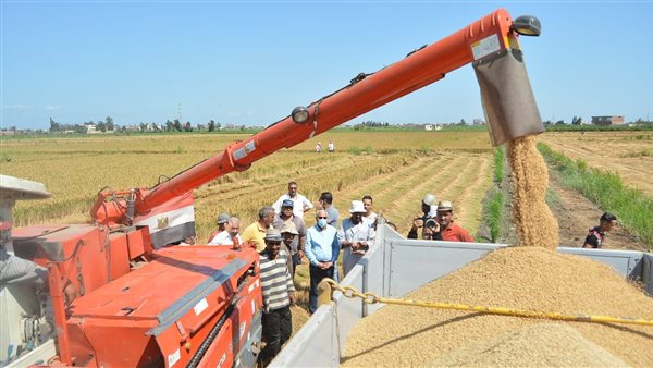 محافظ بورسعيد يشهد