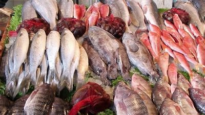 ارتفاع أسعار الخضروات بالأسواق والطماطم تسجل 10 جنيهات للكيلو.. استقرار بيع الأسماك والبلطي بـ 35 | بث مباشر